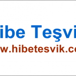 Hibe Teşvik