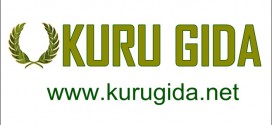 Kuru Gıda